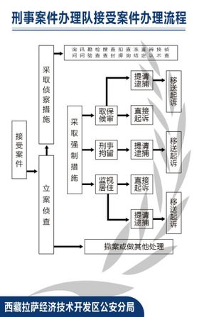 刑事案件办理队接受案件办理流程