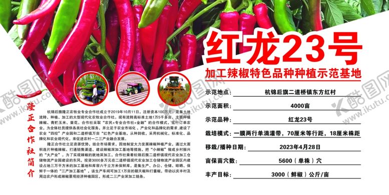 编号：36774611301425088571【酷图网】源文件下载-红龙23号