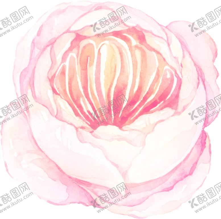 编号：26616905120606211007【酷图网】源文件下载-水彩手绘花卉花朵植物