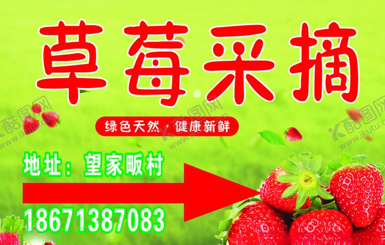 编号：23043410020348562856【酷图网】源文件下载-草莓采摘