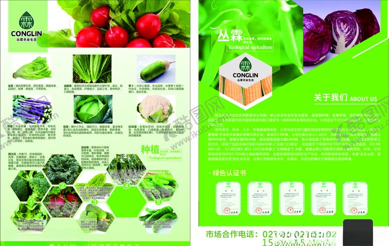 编号：53384406260822143095【酷图网】源文件下载-农产品单页