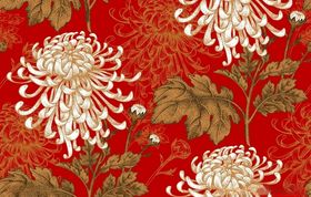矢量手绘花朵