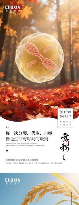 立秋节气移动端海报健康系列枫叶