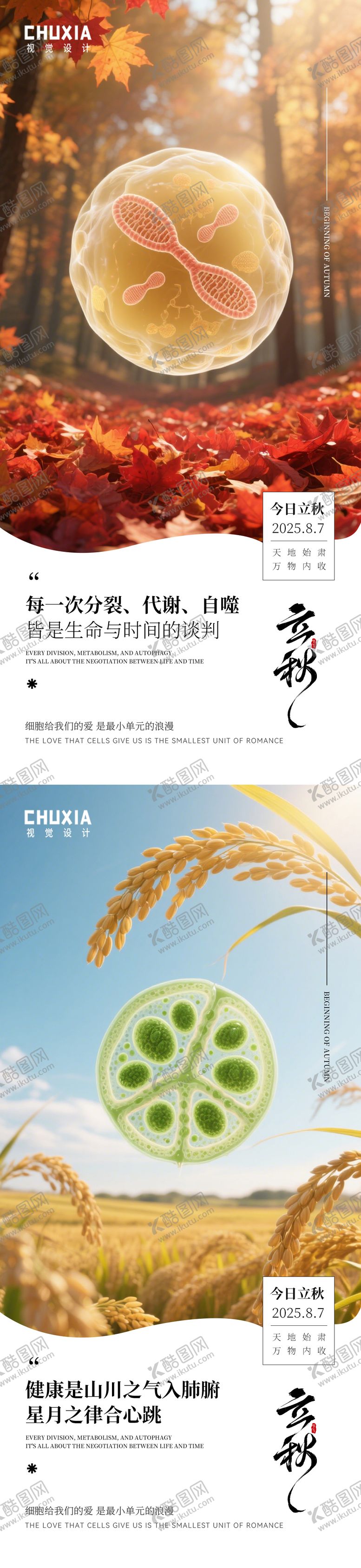 编号：88466307272242363974【酷图网】源文件下载-立秋节气移动端海报