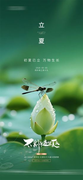 地产立夏质感节气海报