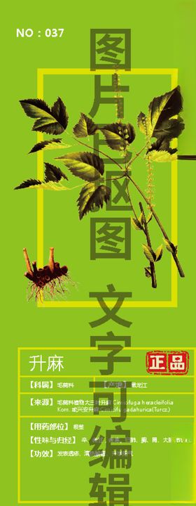 升麻