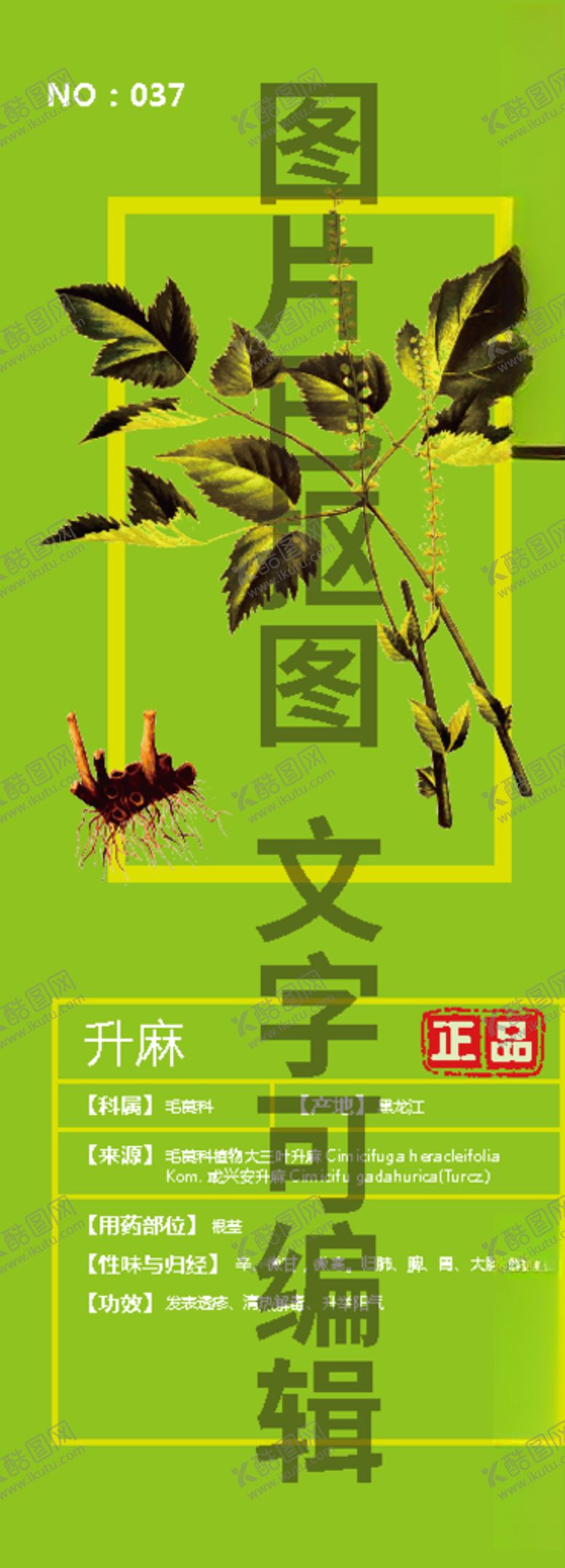 编号：72236305041813529624【酷图网】源文件下载-升麻
