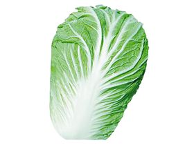 夏阳白