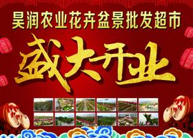 昊润农业花卉盆景批发超市