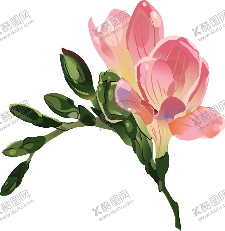 编号：91702404261715058467【酷图网】源文件下载-花卉