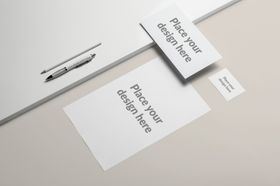 样机VIS包装设计logo展示画册