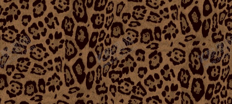 编号：26276709220222244162【酷图网】源文件下载-豹纹