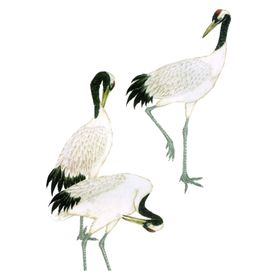 仙鹤
