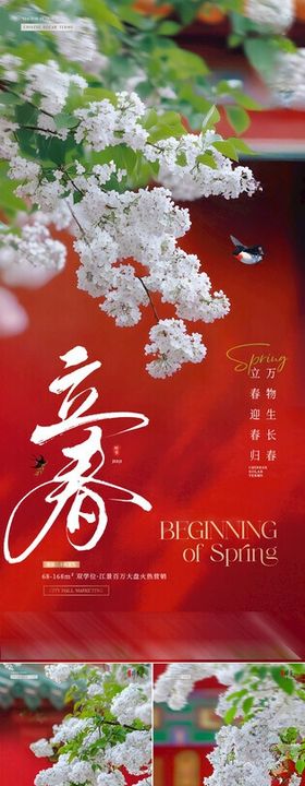 地产立春春分红墙花卉海报
