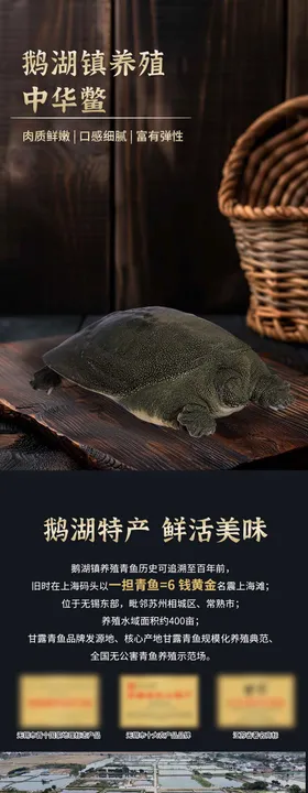 甲鱼中华鳖