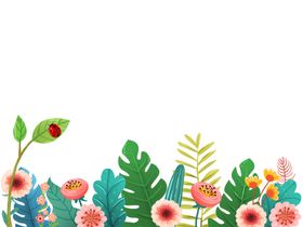 花卉手绘素材植物插画鲜
