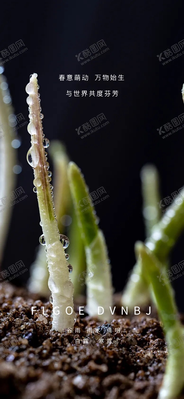 编号：98069812261354291177【酷图网】源文件下载-雨水