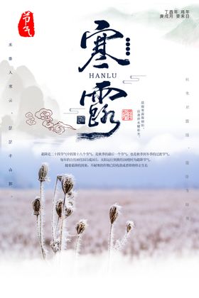 寒露海报