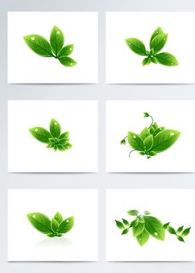 绿色植物叶子元素