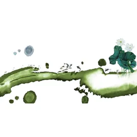 荷花素材立夏背景中国风叶国潮