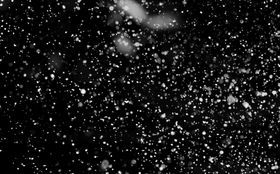 雪花