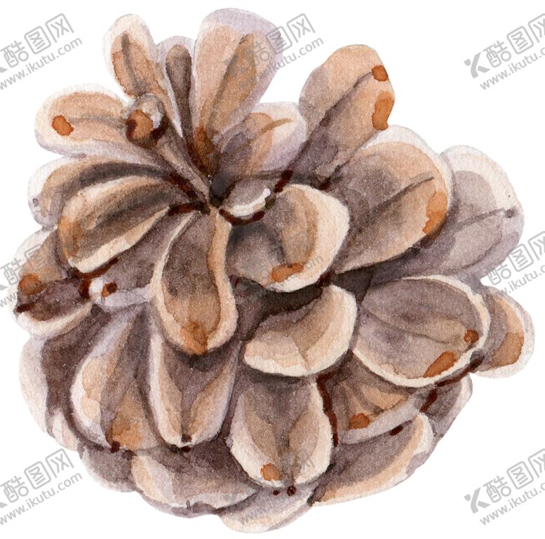编号：24696506171919287515【酷图网】源文件下载-水彩植物
