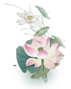 中国风荷叶荷花绘画
