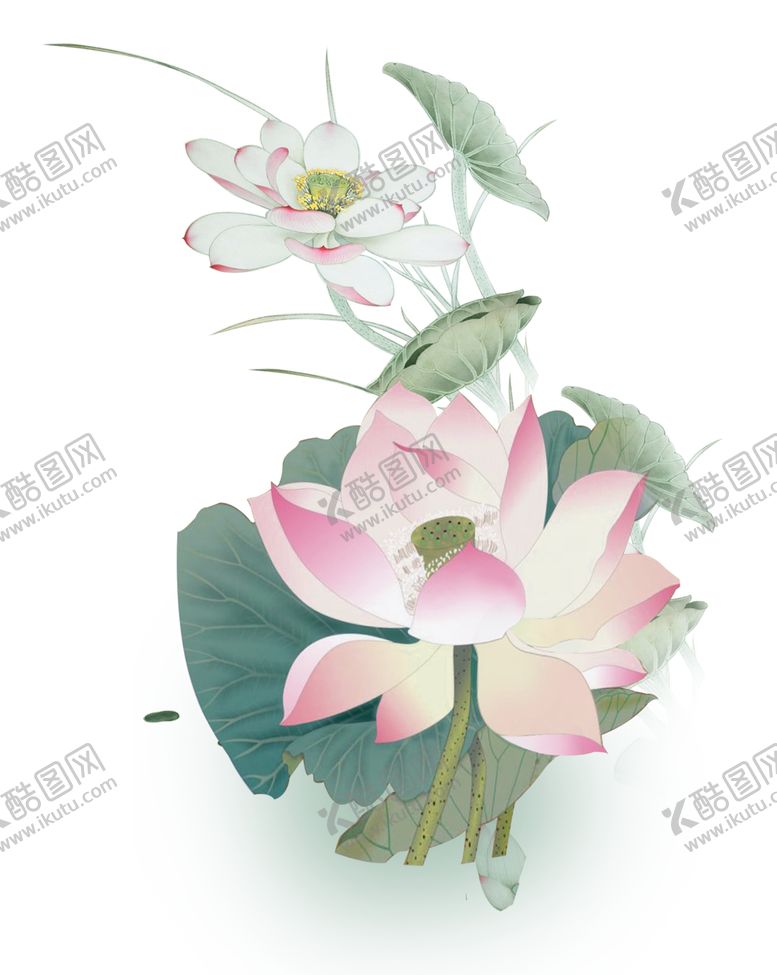编号：99572309110245023166【酷图网】源文件下载-中国风荷叶荷花绘画