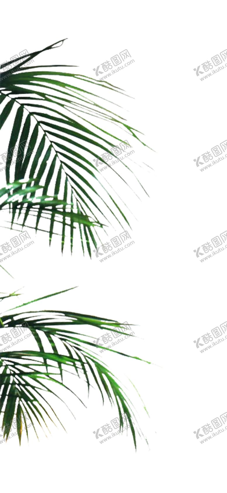 编号：29859810201818188530【酷图网】源文件下载-绿色植物