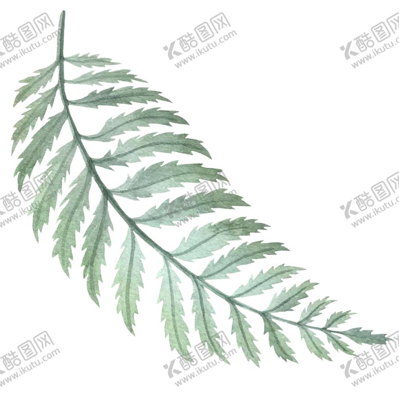 编号：75351609211755385263【酷图网】源文件下载-手绘植物