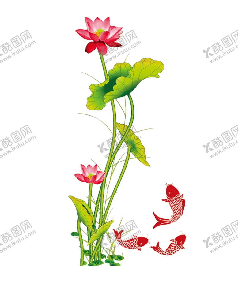 编号：88529707020014023273【酷图网】源文件下载-荷花