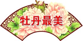 扇形牡丹