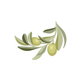 森系花枝