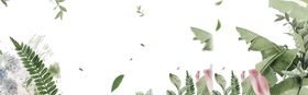 花边素材卡通古典韩国圆形