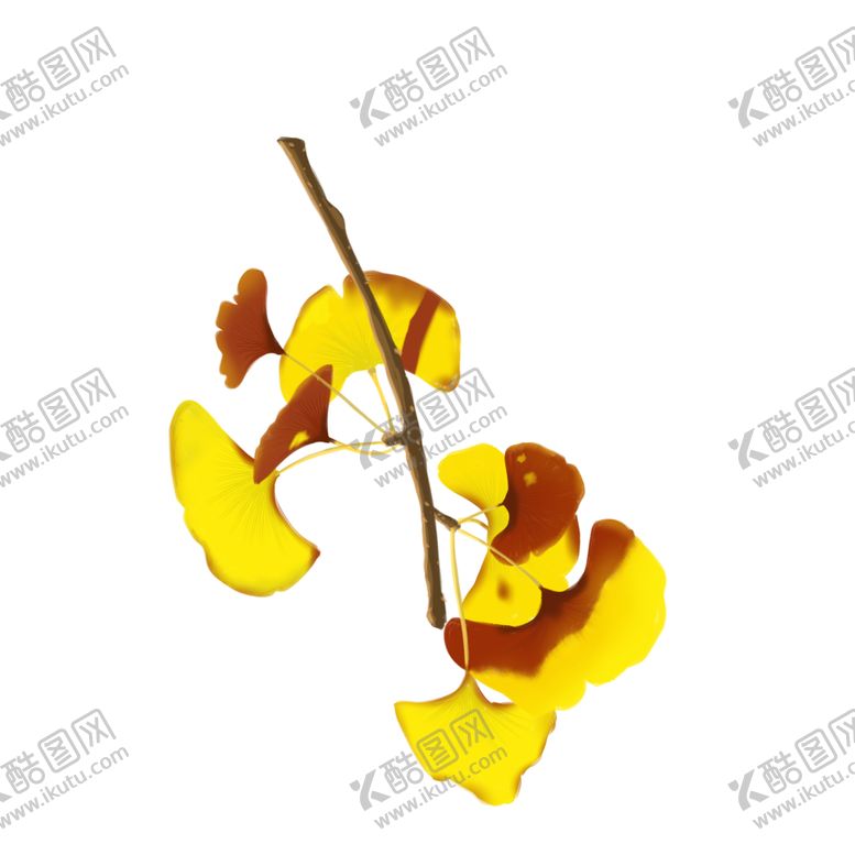 编号：37440304200706164891【酷图网】源文件下载-秋天银杏叶