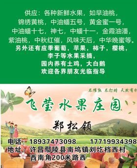 桃园名片