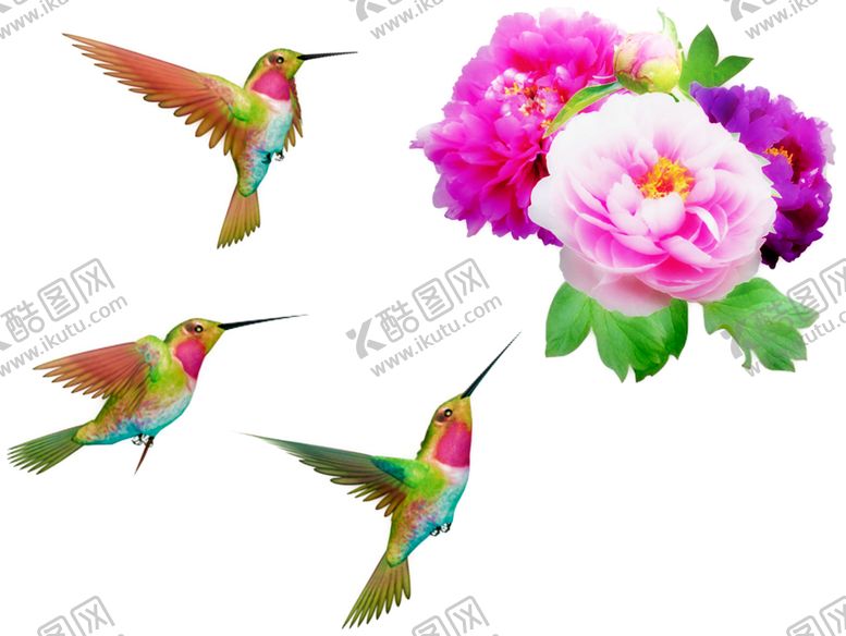 编号：98121609252031357679【酷图网】源文件下载-鸟语花香