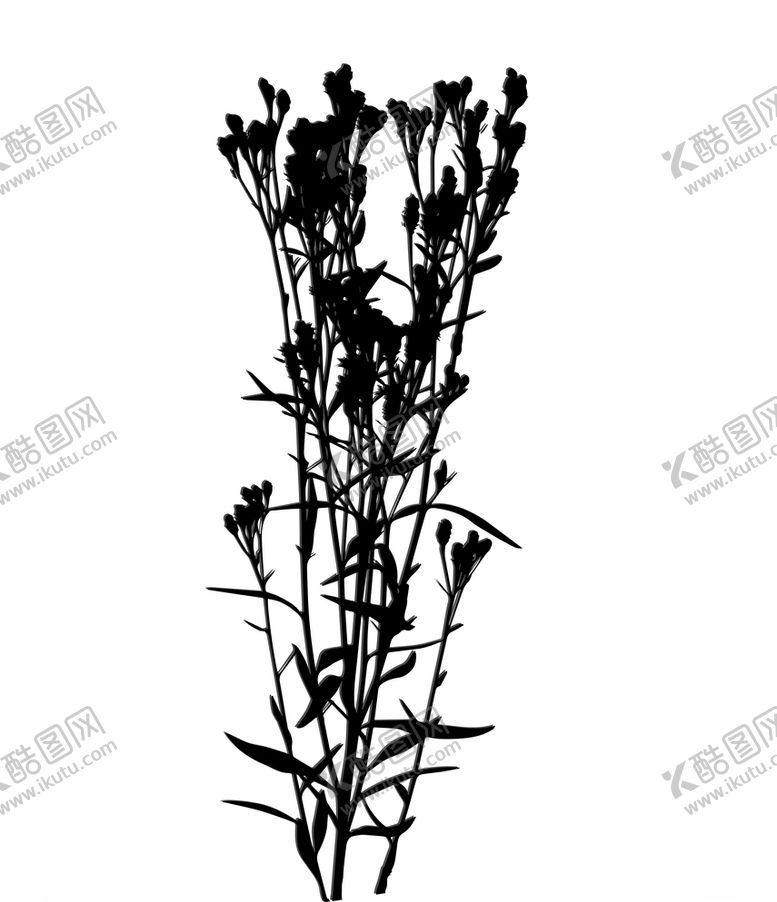 编号：93263809131505254827【酷图网】源文件下载-花枝