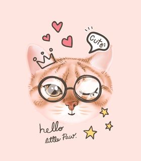眼睛猫