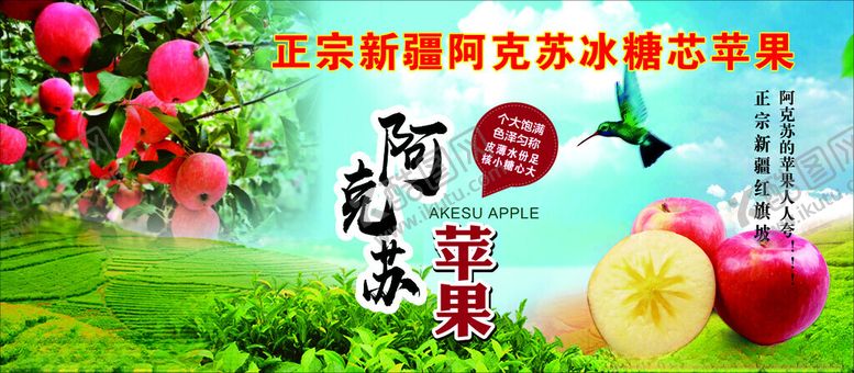 编号：80968901261350112840【酷图网】源文件下载-阿克苏苹果