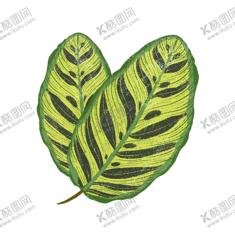 编号：13257811232032533370【酷图网】源文件下载-植物