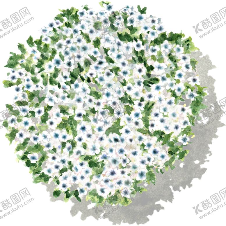 编号：39935505011151031586【酷图网】源文件下载-手绘植物