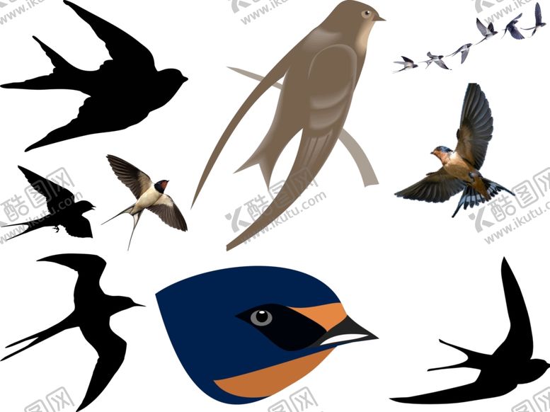 编号：79881110311413448207【酷图网】源文件下载-燕子png免扣高清素材