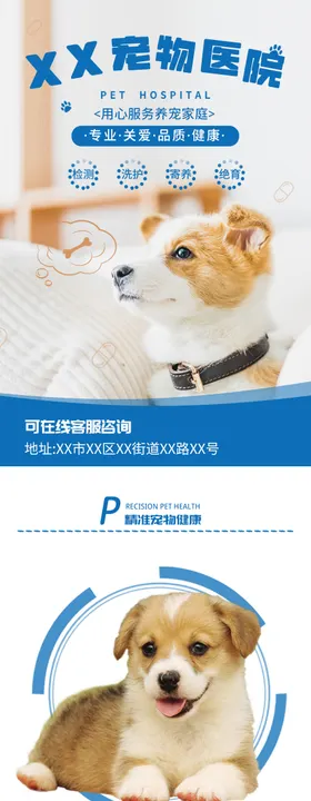 宠物医院促销电商详情页