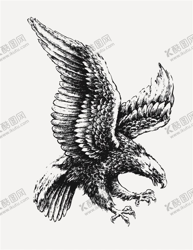 编号：27630109180122198715【酷图网】源文件下载-卡通老鹰