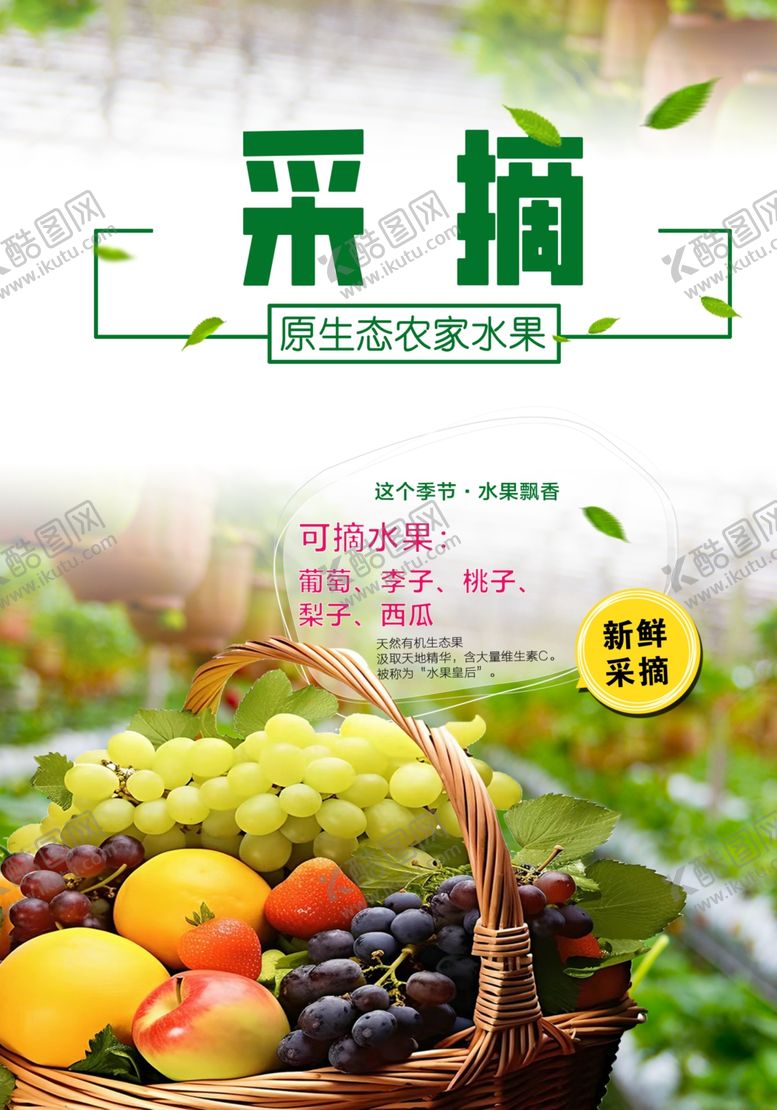 编号：81378402091535314562【酷图网】源文件下载-采摘园