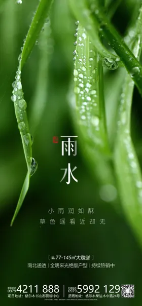 雨水节气海报