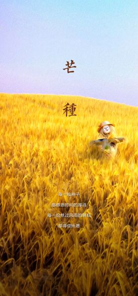 芒种节气宣传海报展板贴片画面
