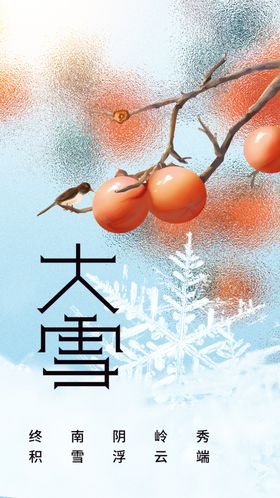 大雪活动宣传素材节气