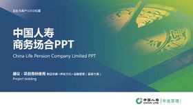 中国人寿商务通用ppt